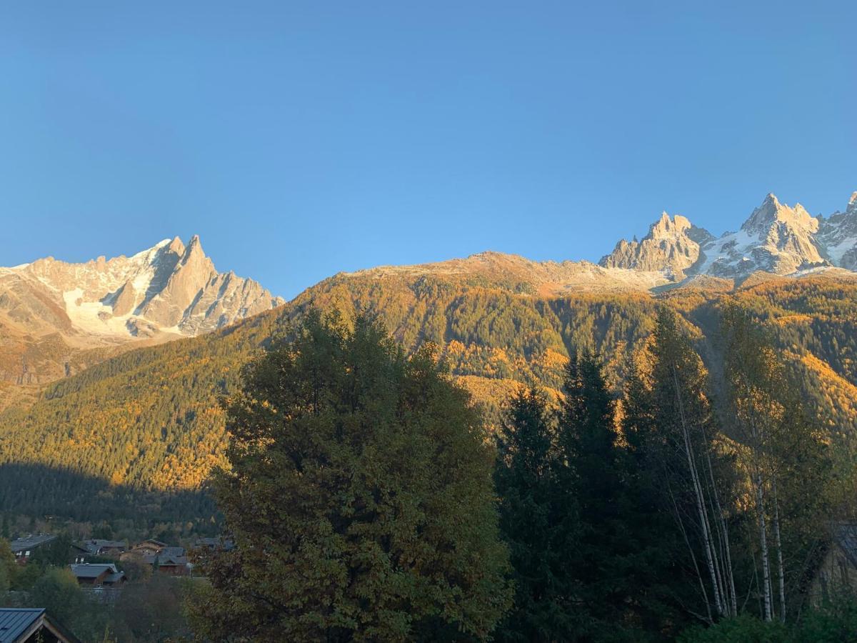 Chalet Le Point De Vue Chamonix Dış mekan fotoğraf
